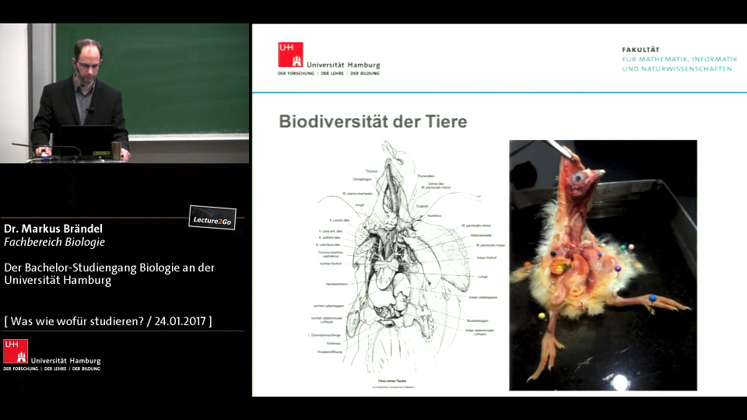 Still large br ndelohnefragen 2