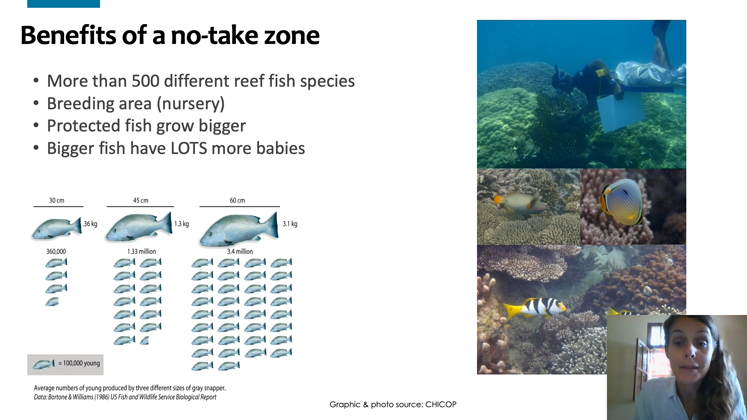 Still large sustainable tourism diana koerner chumbe island