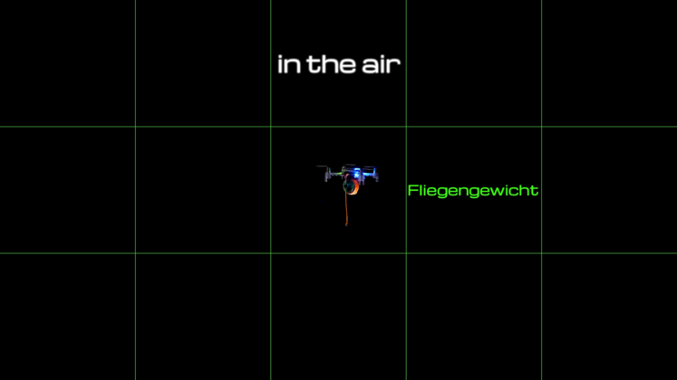 Large fliegengewicht  intro stills