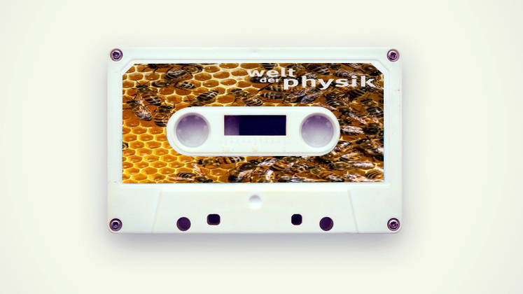 Large cover