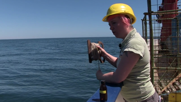 Still medium phytoplankton analysis off the coast of namibia